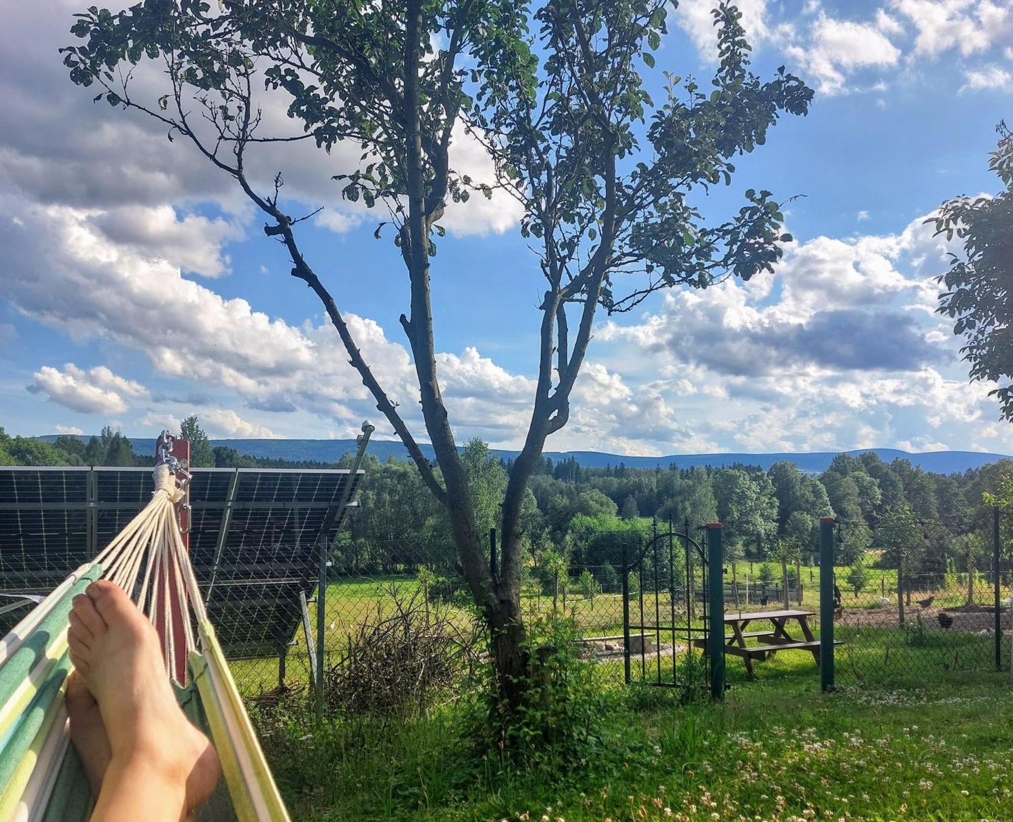 Maja Pokoje Z Widokiem Kameralna Agroturystyka Na Pogorzu Izerskim Z Sauna I Jacuzzi (Adults Only) Mirsk Exteriér fotografie